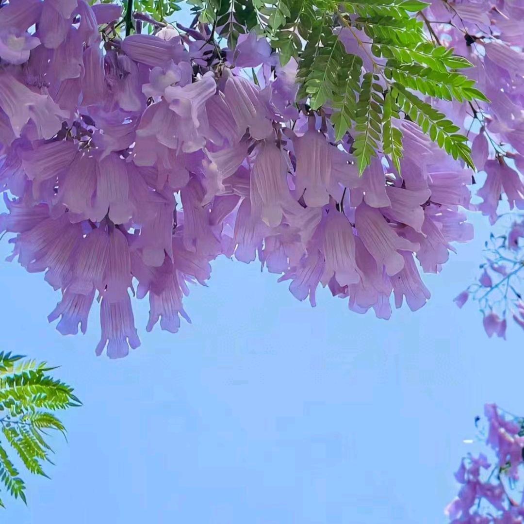 多多少少的少少多多