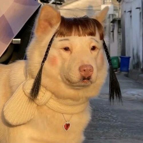 开心最重要