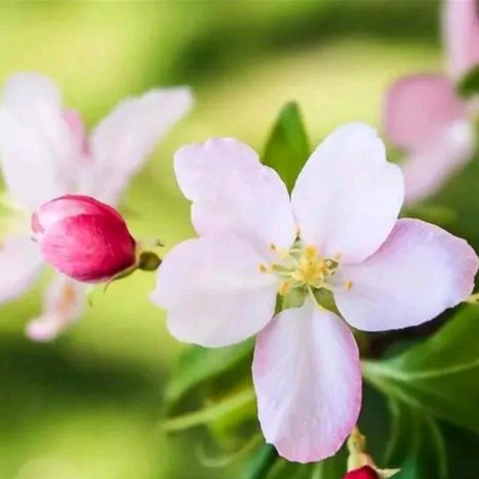 🌹❤️🌹এ᭄相ꦿ伴❤️🌹ഒᩚ࿐