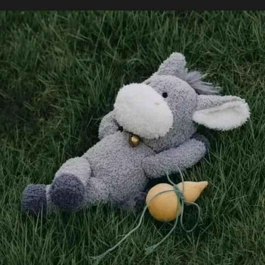 ༺❀ൢ༒ൢ❀༻