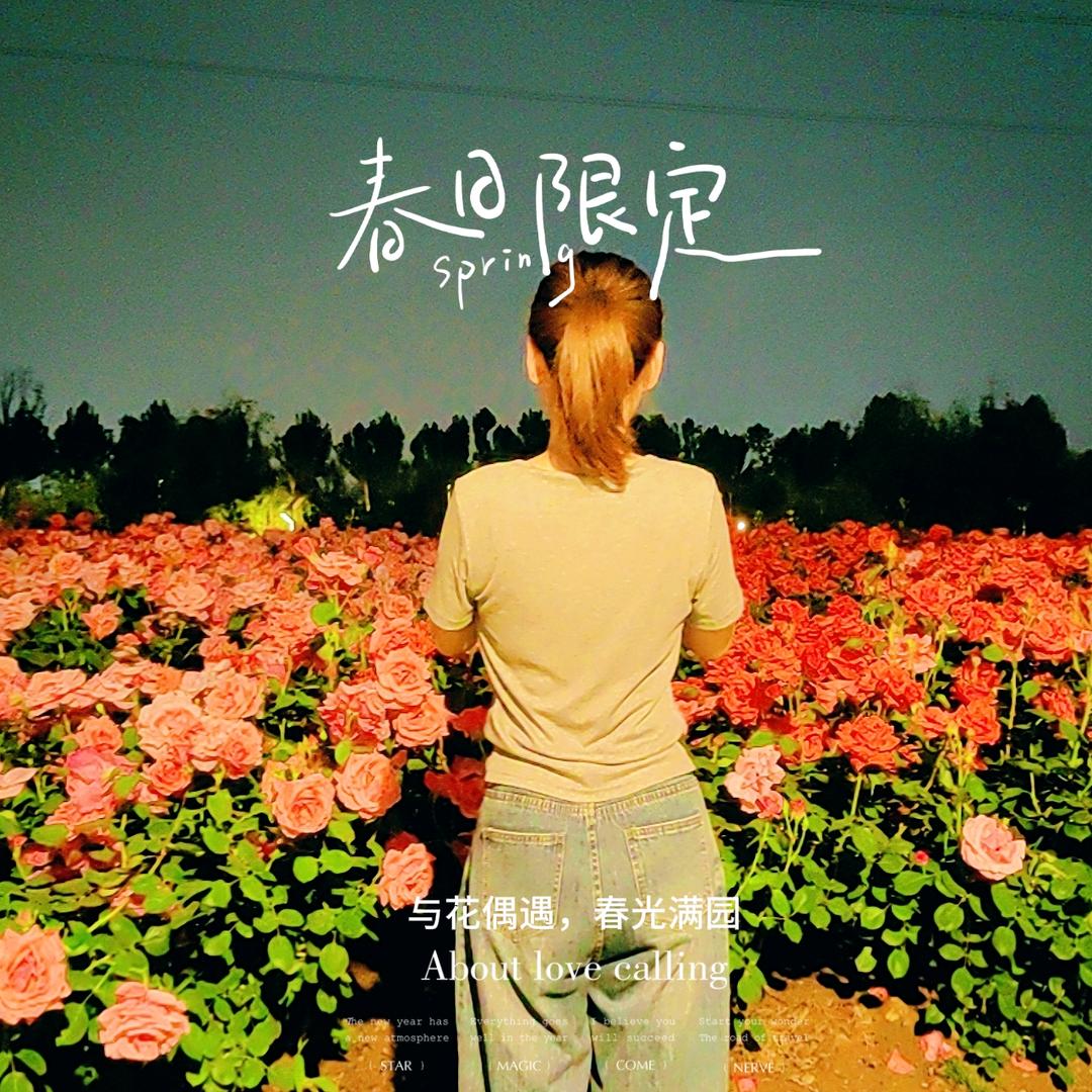 晨露