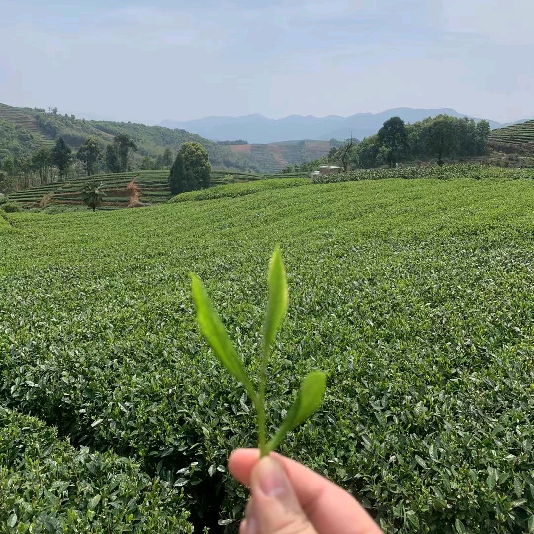 鹏飞万里(*^ω^*)