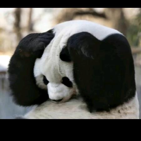 不爱喝9️⃣
