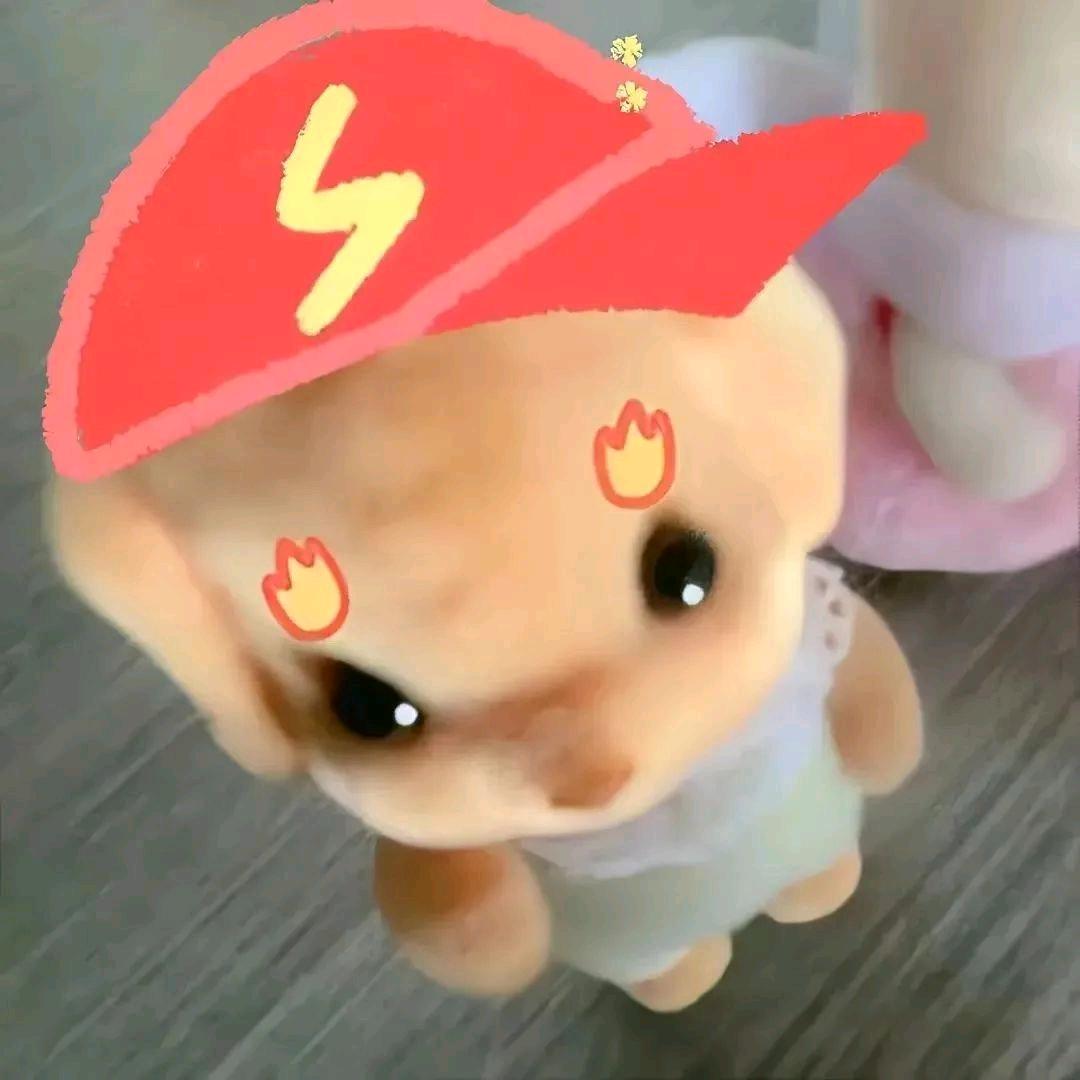 江淮妍.