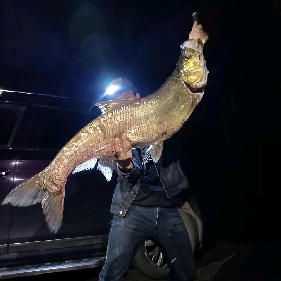 lure