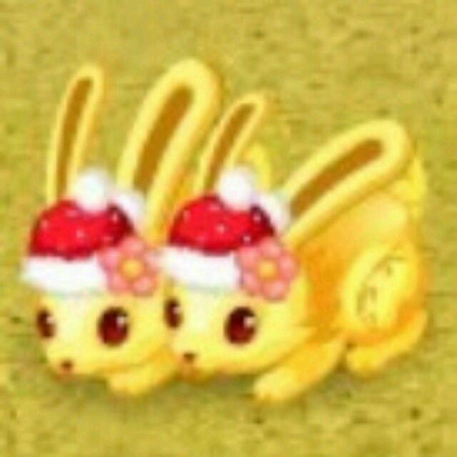 兔子🐰🐰🐰🐰🐰🐰