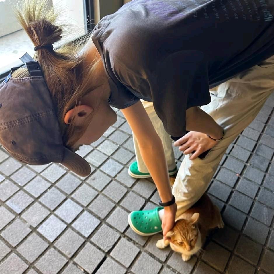 困就睡呗