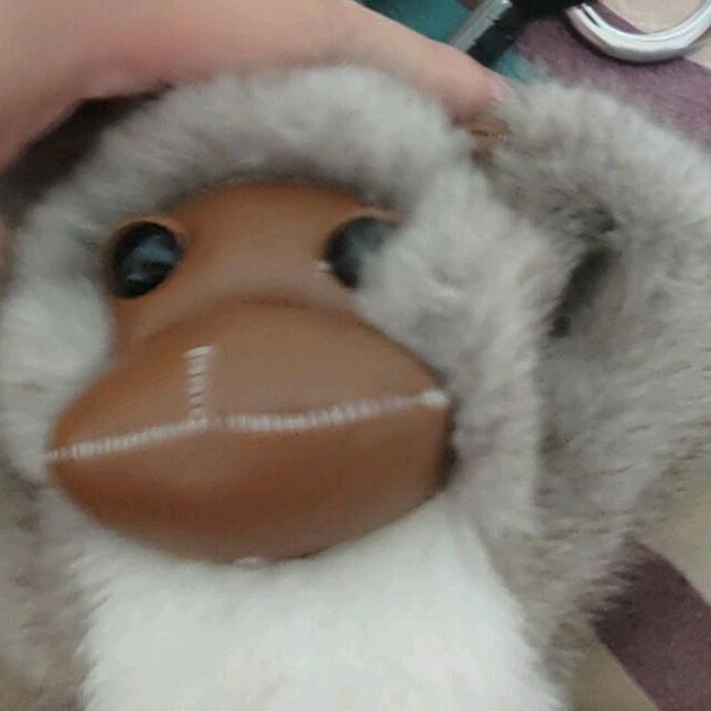 暖树丶