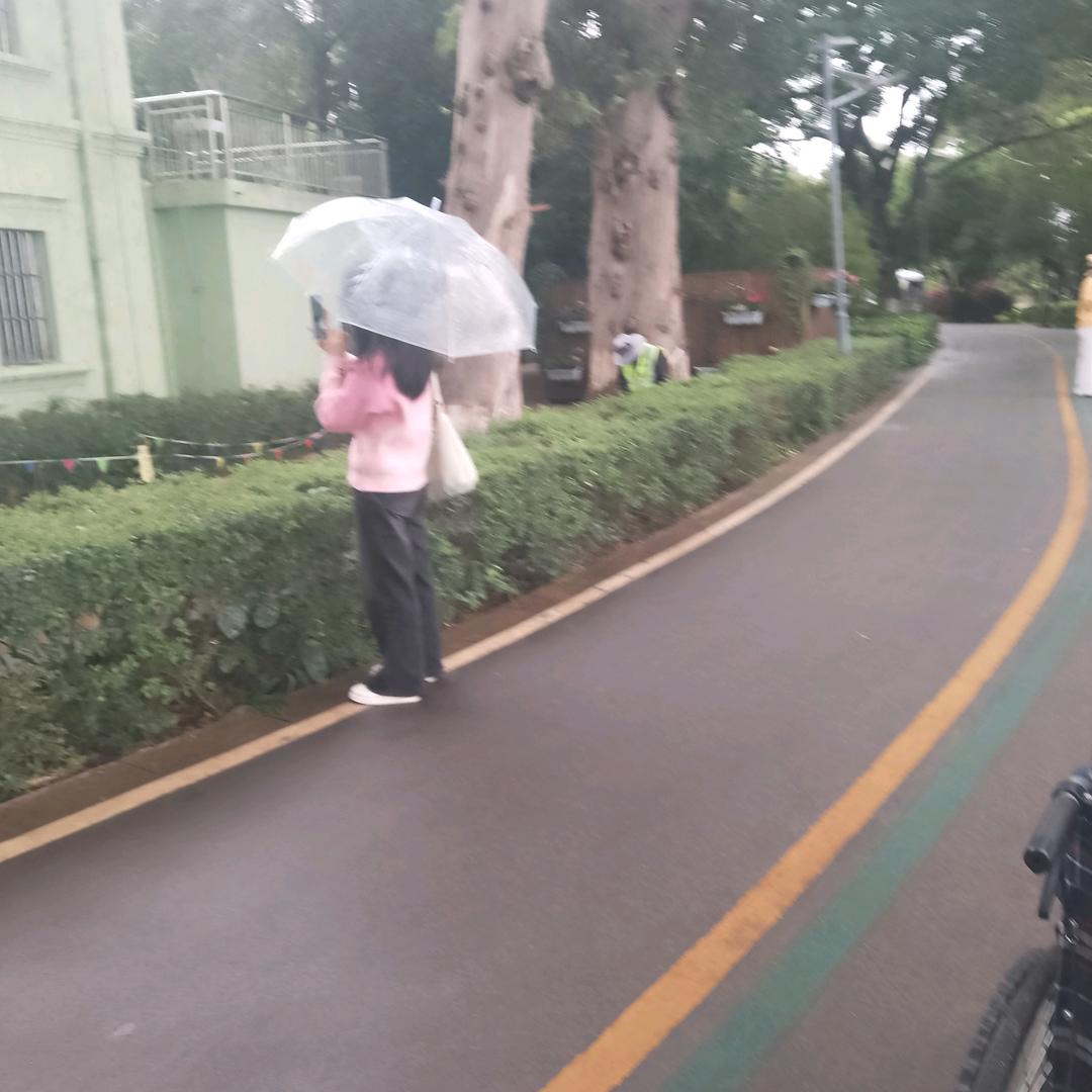 罗向伟
