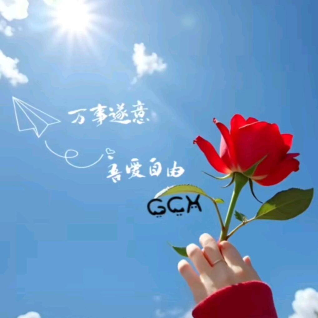 清儿小店