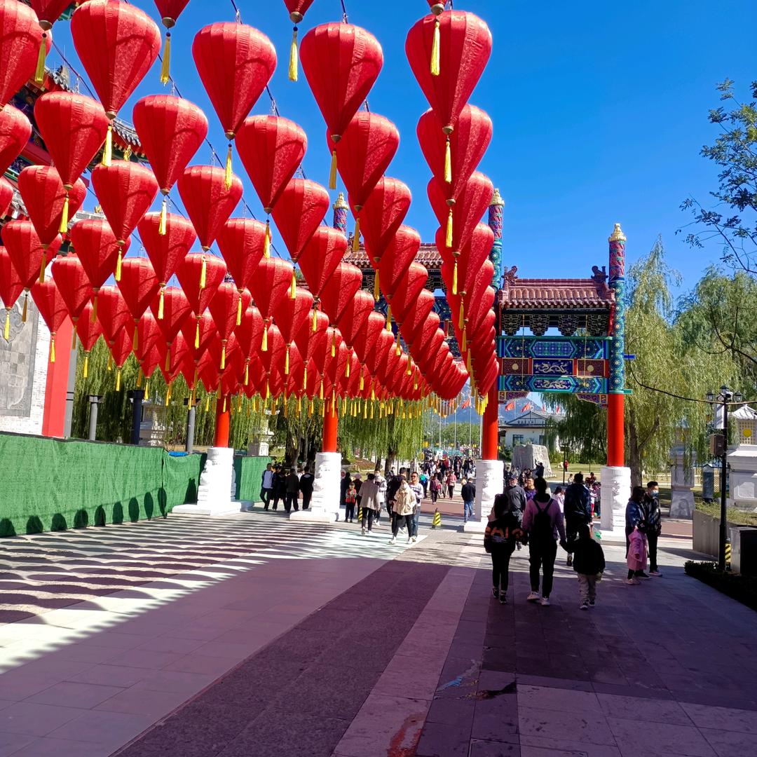 🌞夏天的太阳🌞