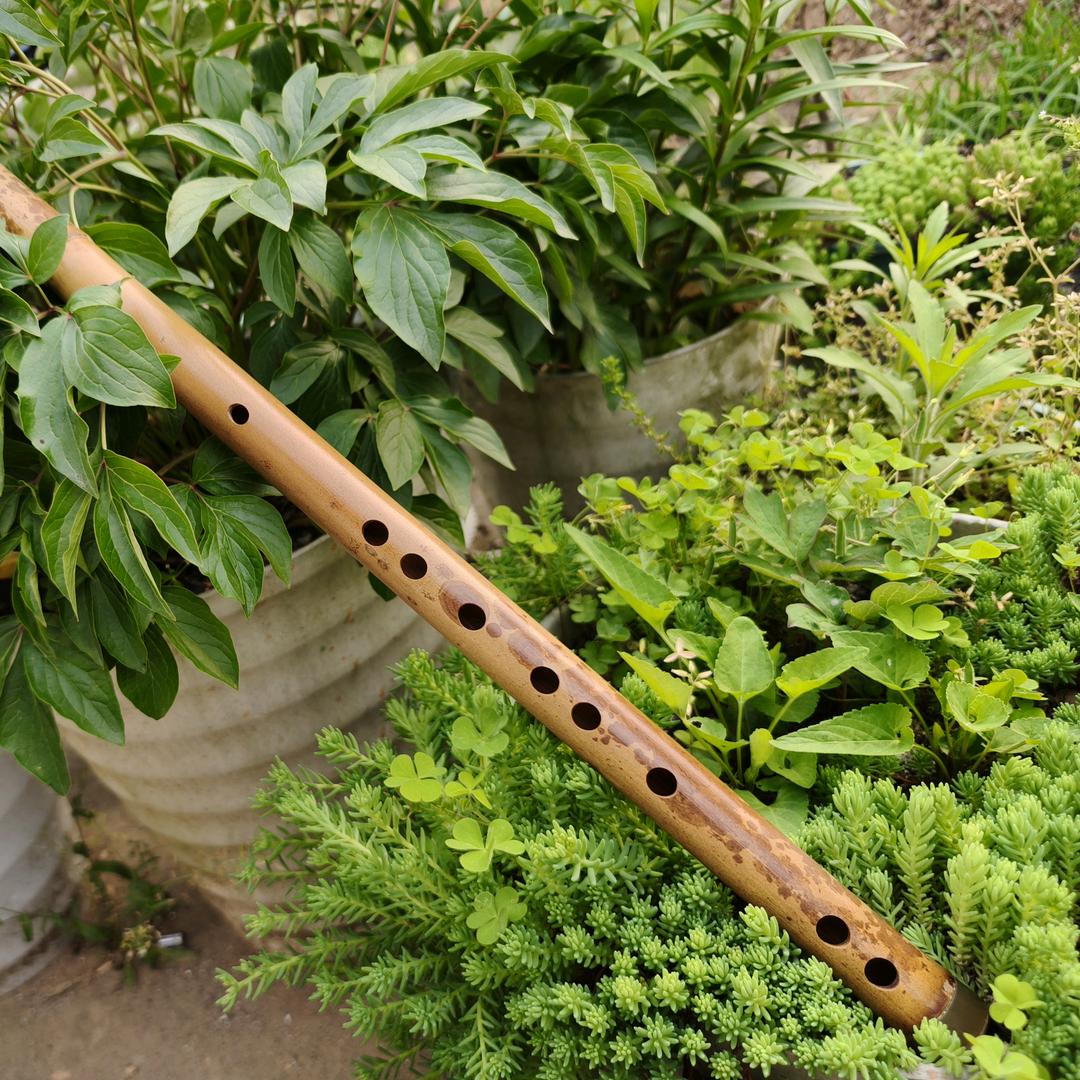 宝笛箫制作者（钟钟笛箫）