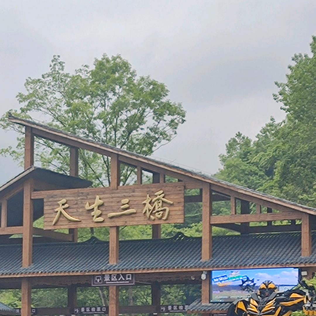 重庆志哥旅游