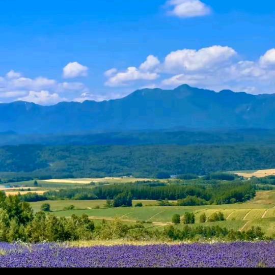 ཌༀ终是༒过客ༀད༻