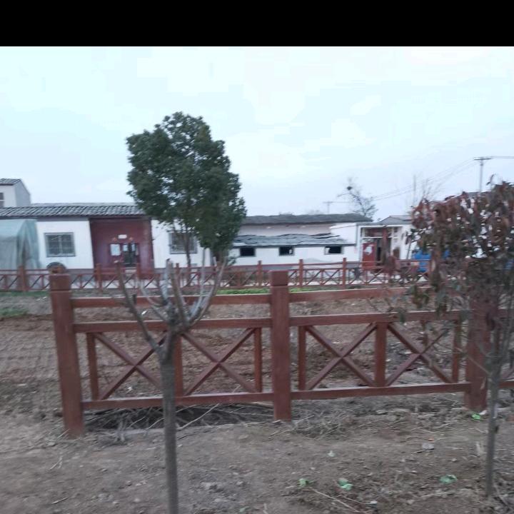 披荆斩棘的女人