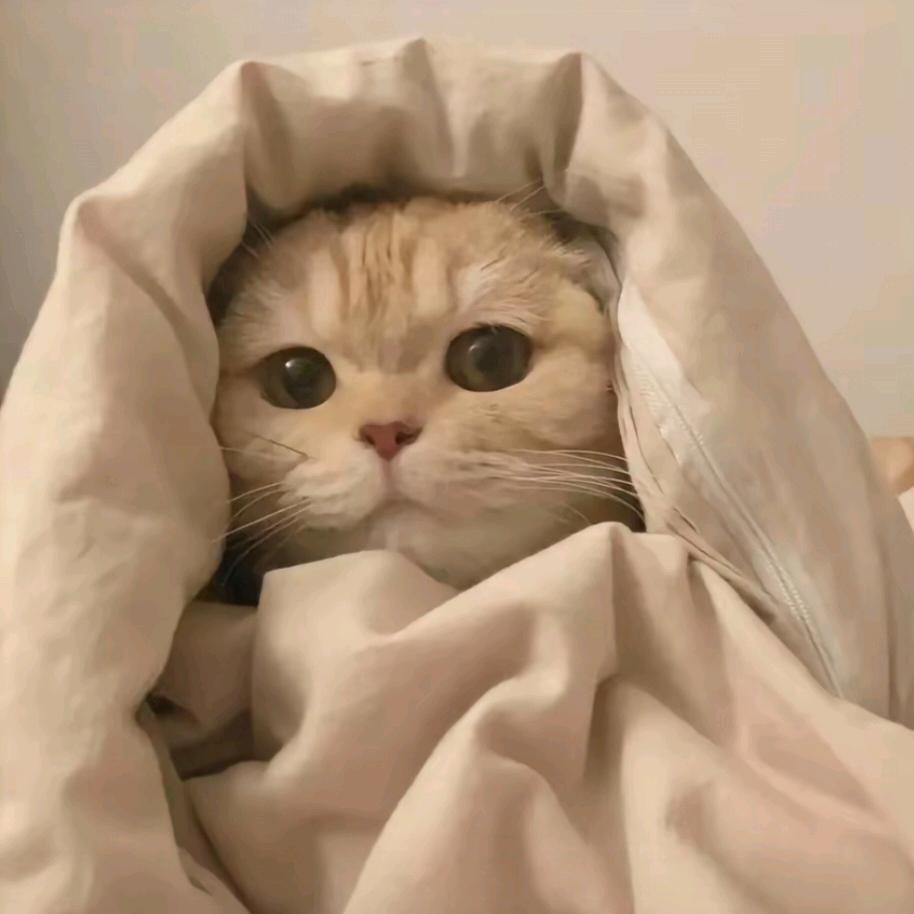 闵家牛肉骨头城