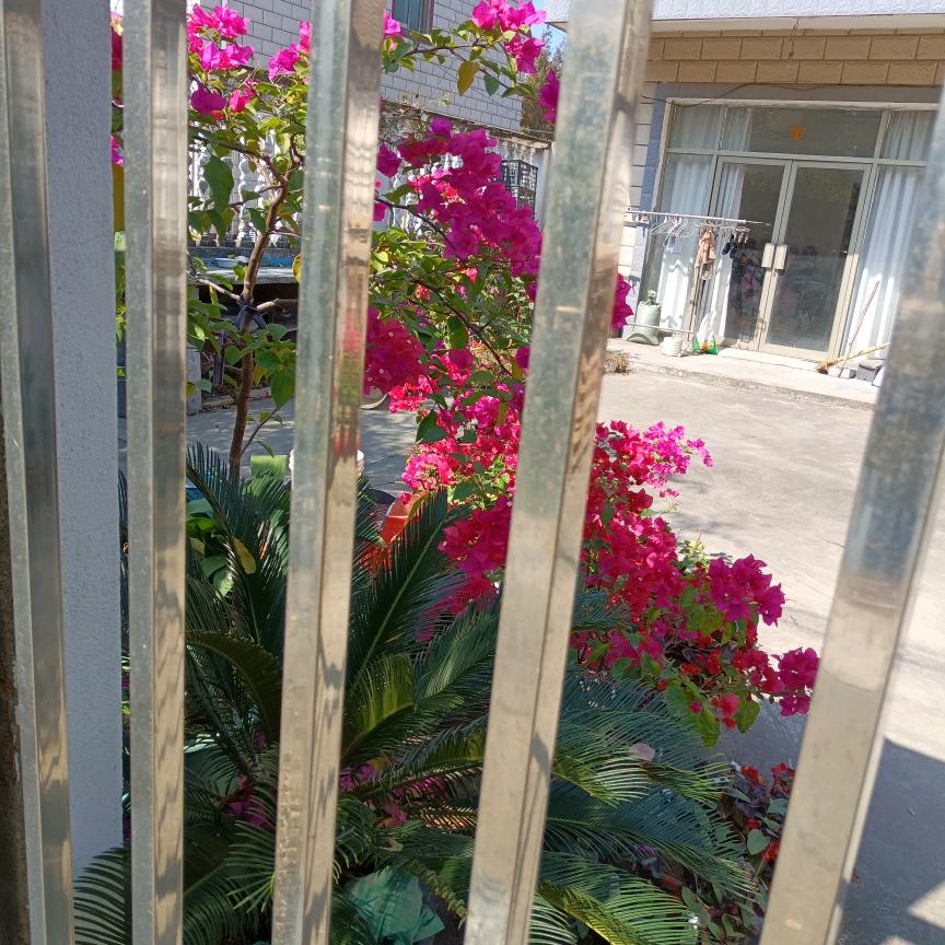 断红尘