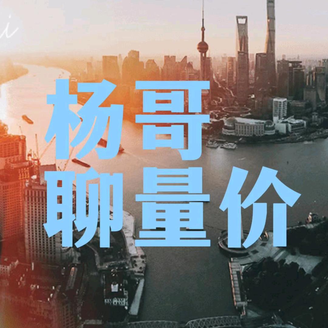 杨哥聊量价
