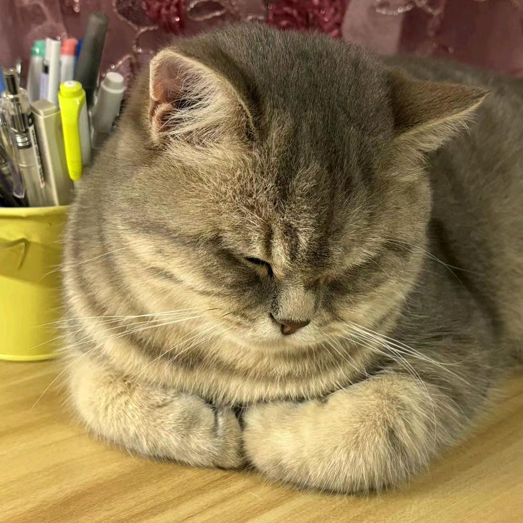 黄大锤