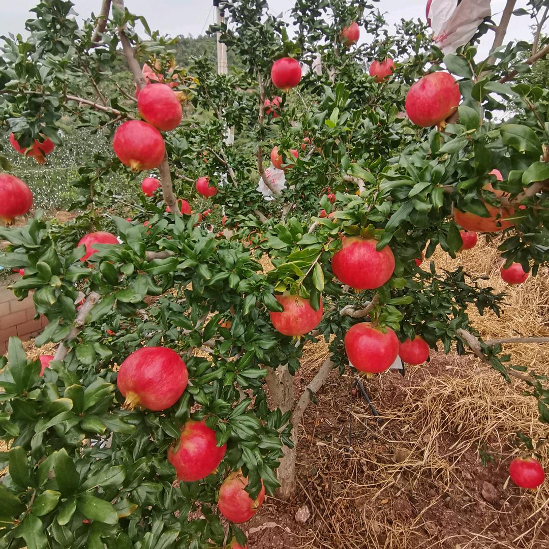 百度再牛也搜不出曾经的拥有