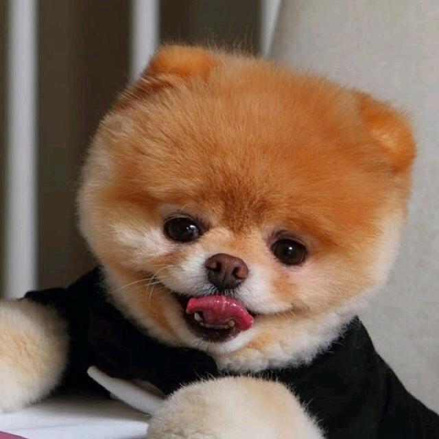 林木