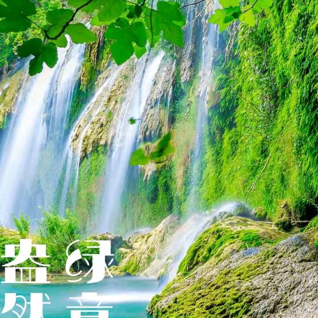 baoge81704