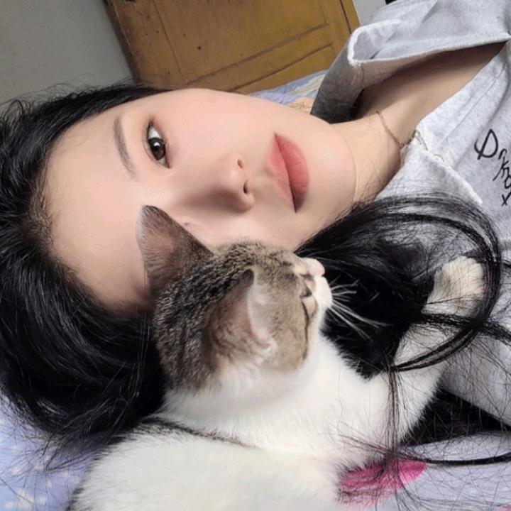 物④人非