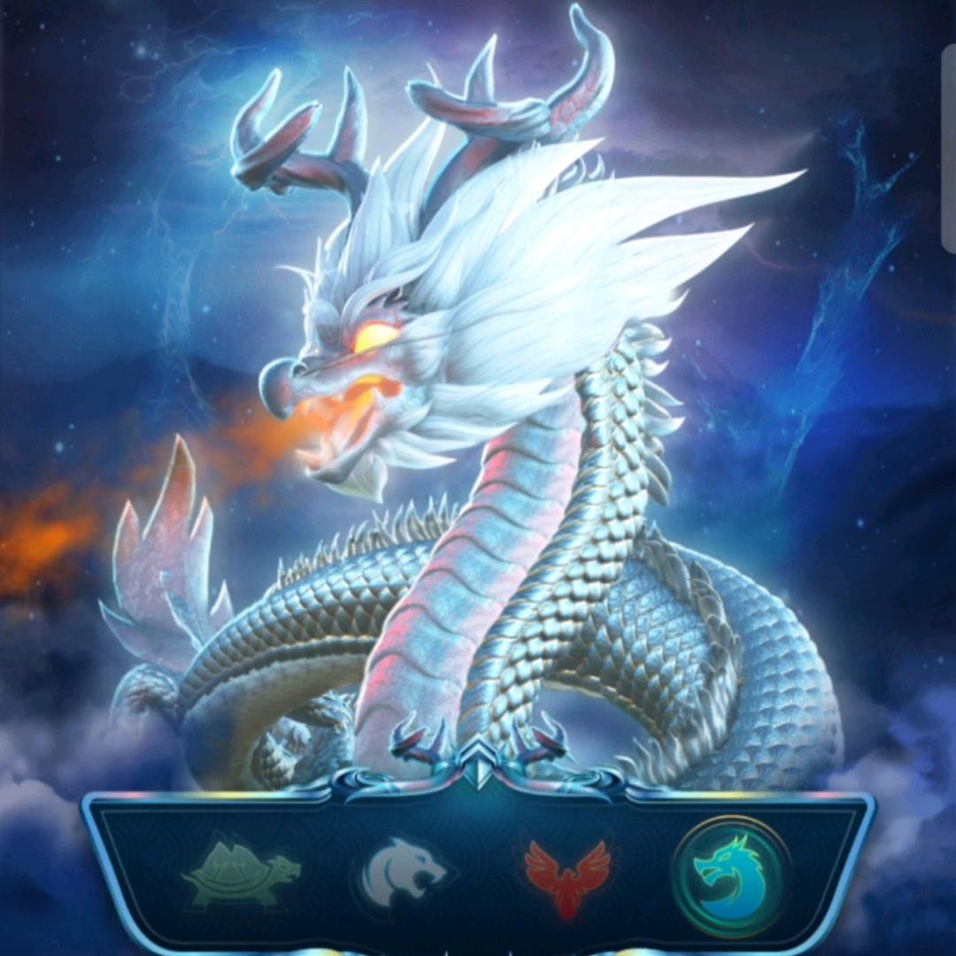 小魏新召唤神龙