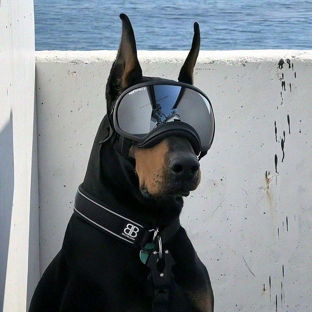 山谷（进阶版）