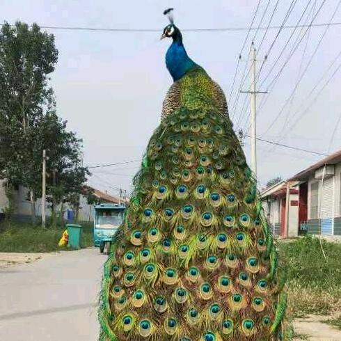 百鸟观赏宠物园