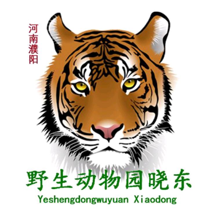 濮阳野生动物园 晓东