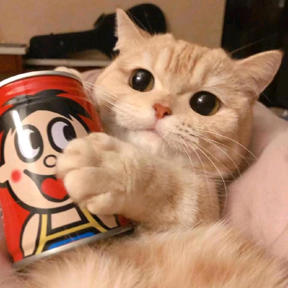 小杨