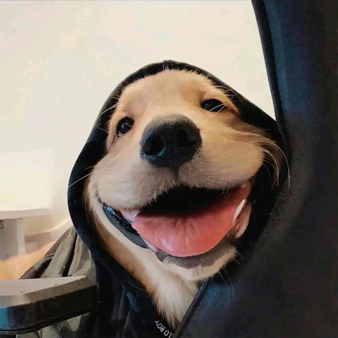 贰巳