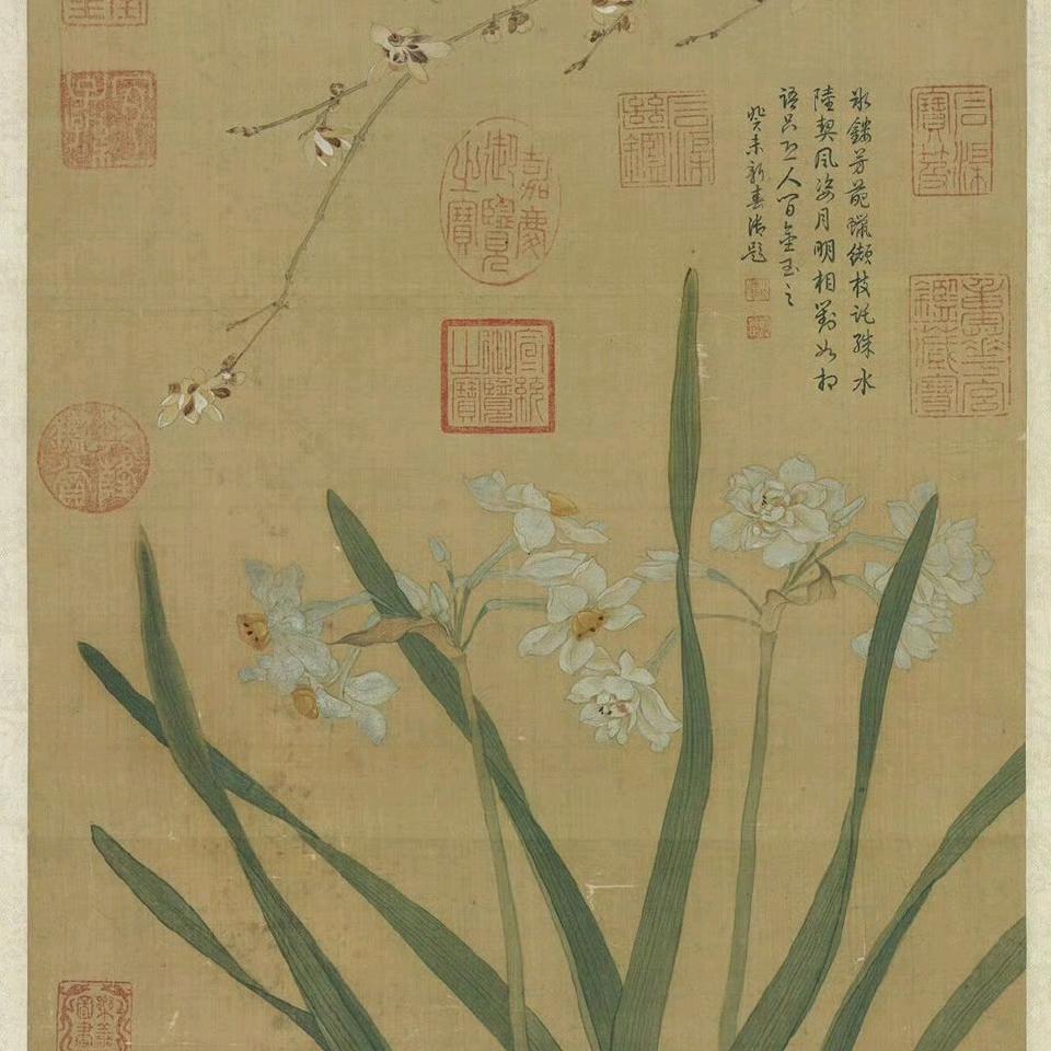 蓼蓼
