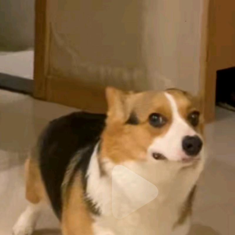 童童爱自律