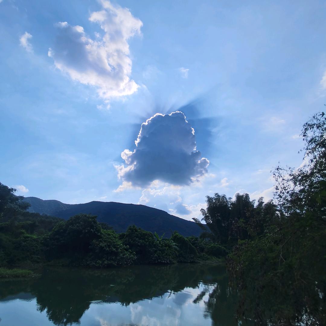 🌈🌈大菠萝🌈🌈