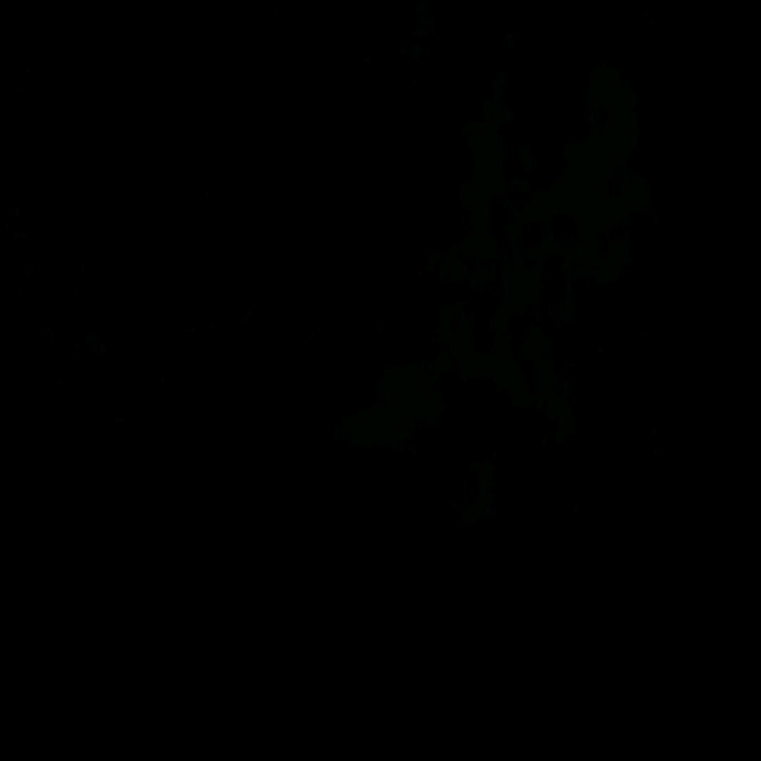 伟仔
