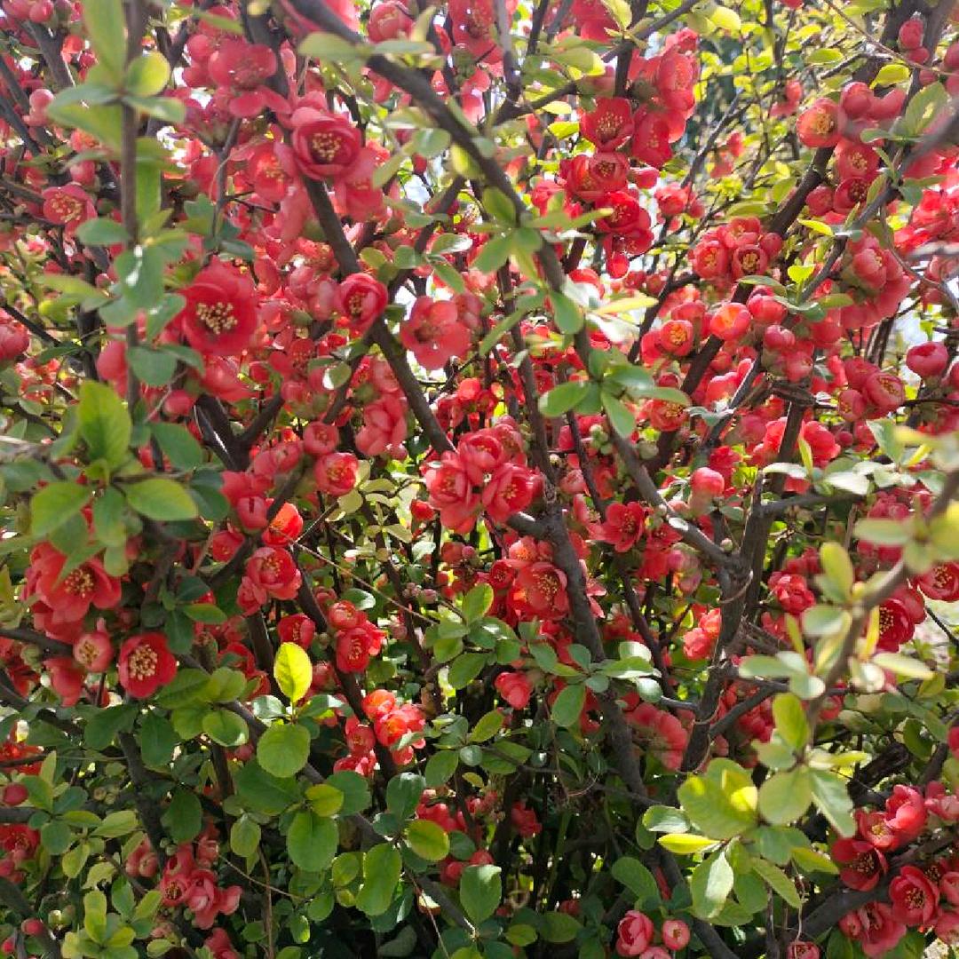 越来越好👌🏻