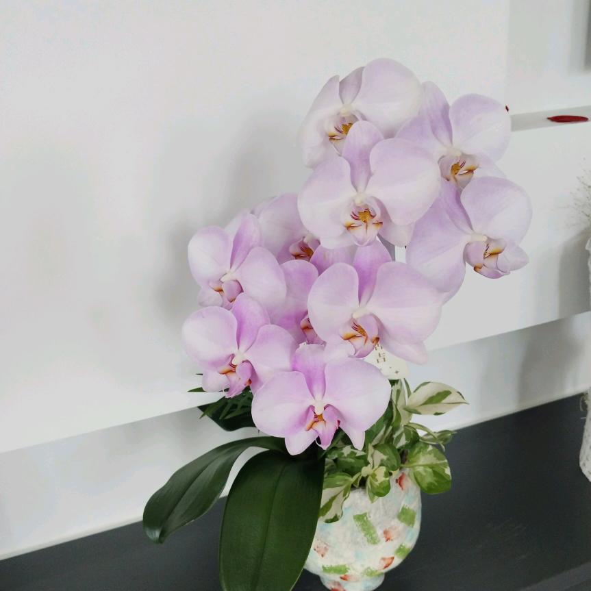 人生如梦遇见你💋