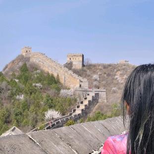 🌞 心向阳光
