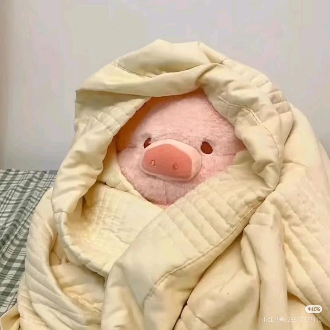 猪猪侠🦸‍♂️