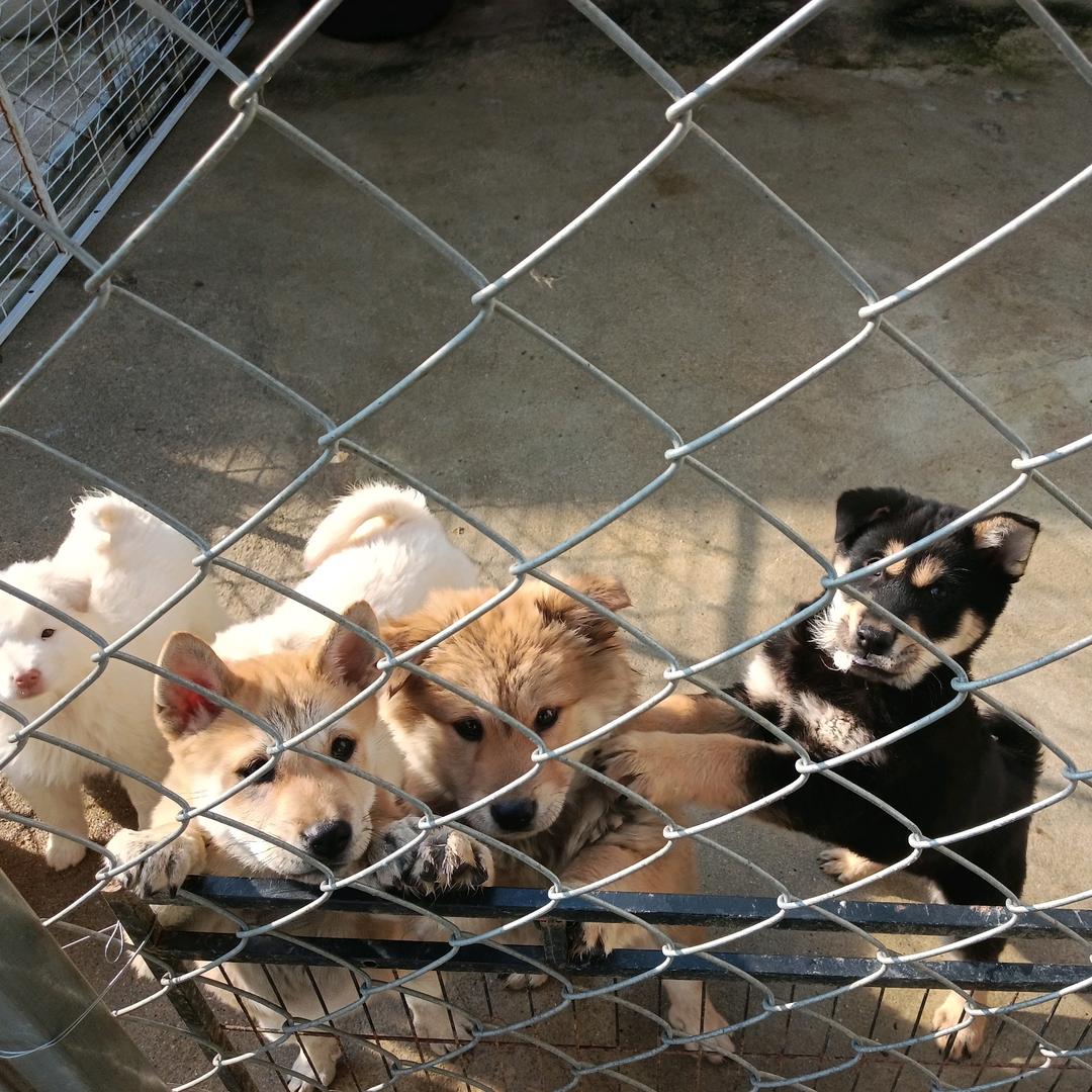 肇庆可可爱❤️小院