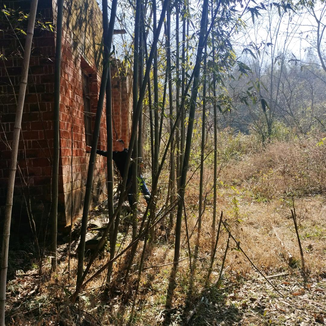 王全个体工商户