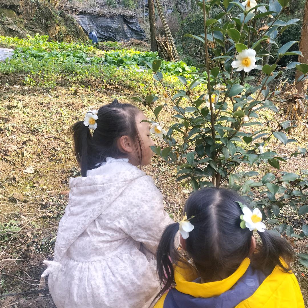煜儿褀贝