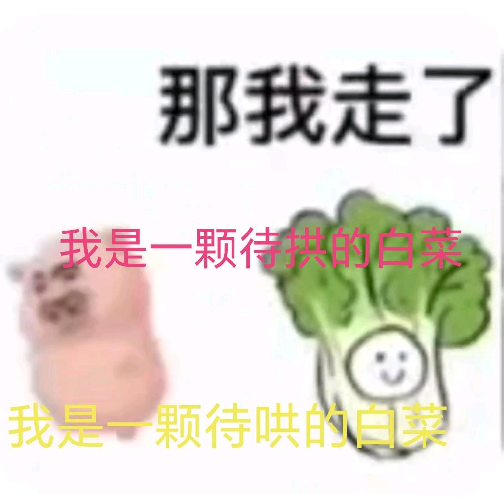 萤舞心辉头像