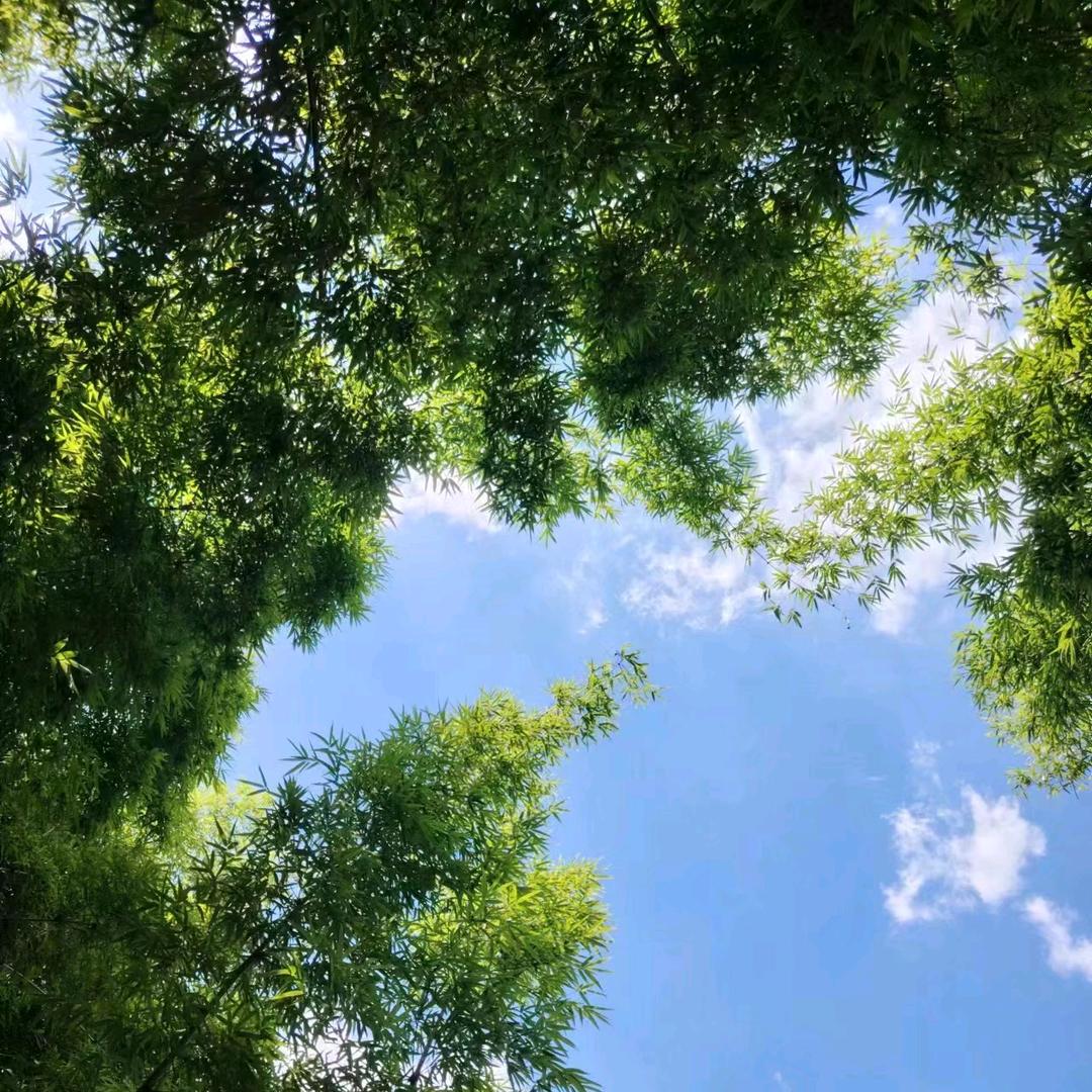 秀~秀