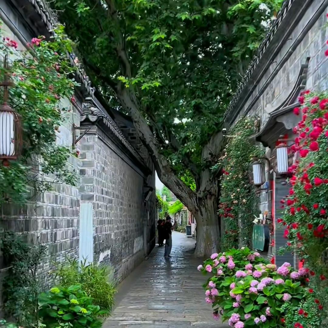 阿芬