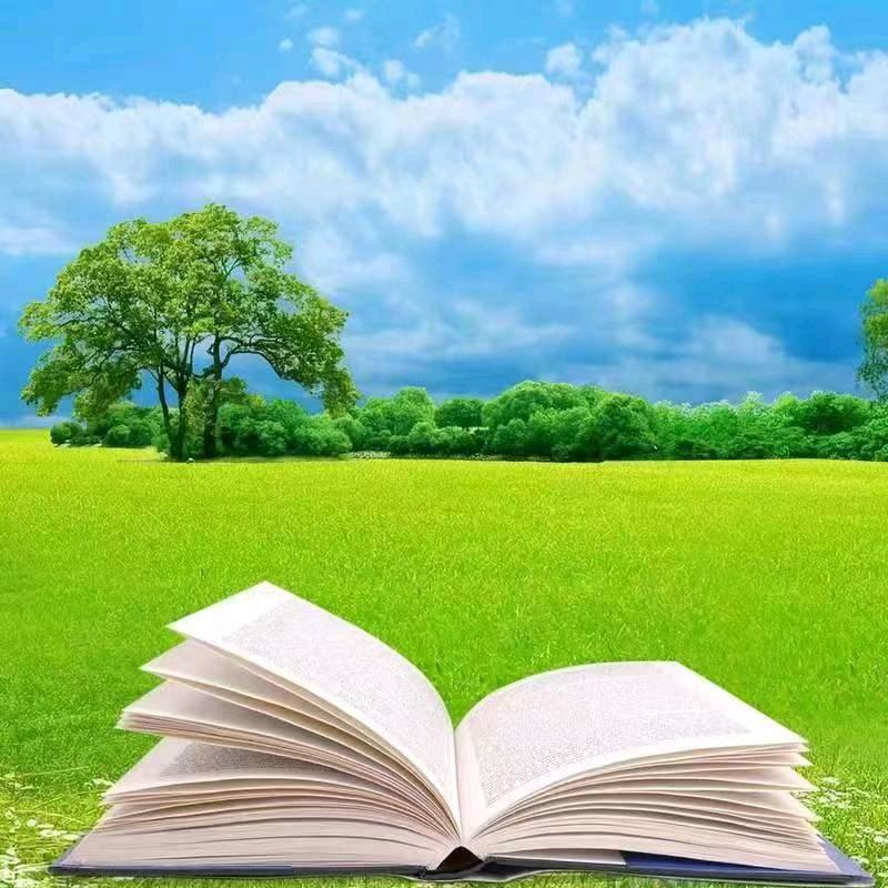 👣1413惠质兰心413👣