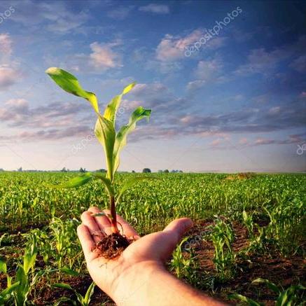 五五零新能源专修