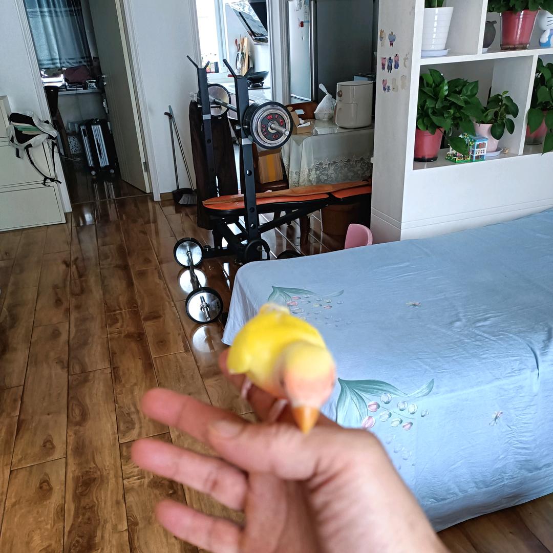 随便吧